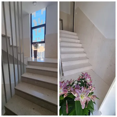 Delta House - Gama * زادار